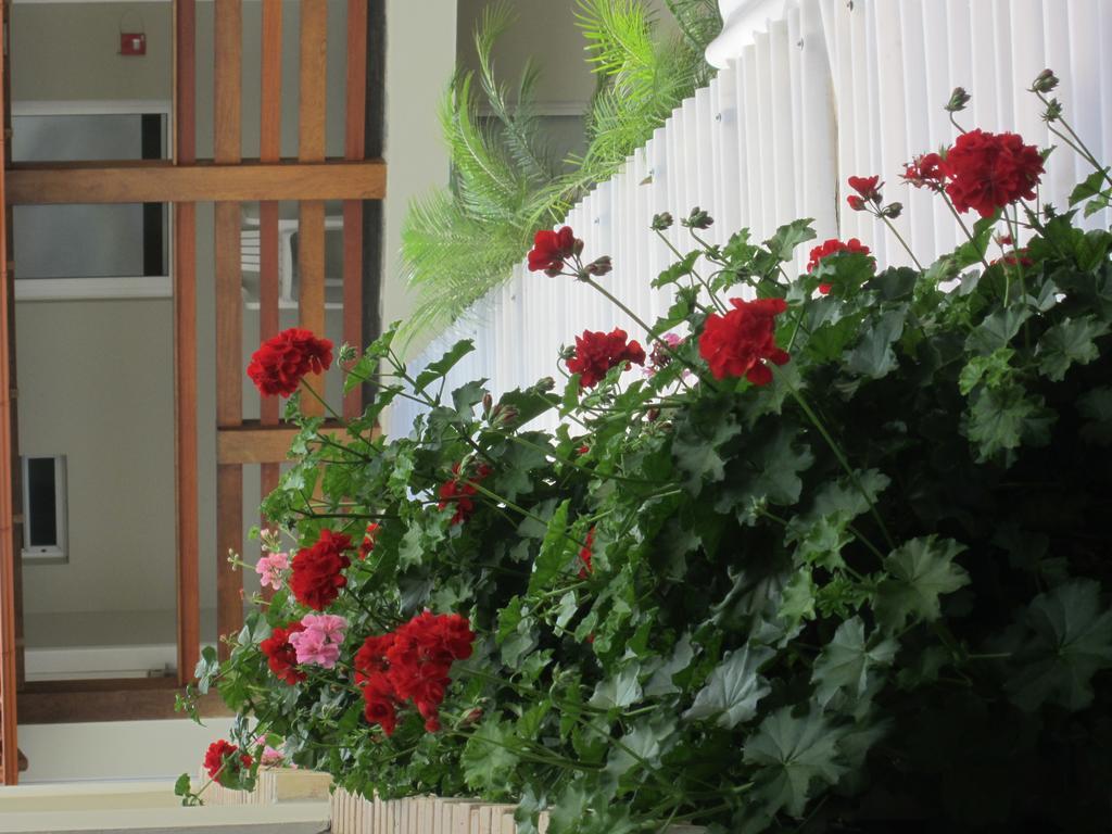 Hotel Geranius Ingleses Florianópolis Eksteriør bilde
